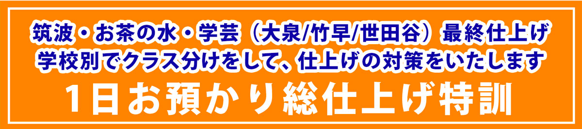 国立小学校対策1日お預かり総仕上げ特訓